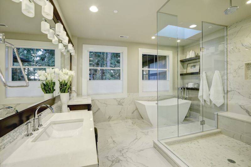 Contemporary Bathroom Upgrade